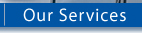 our services button in website menu